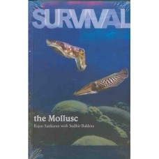 Survival - The Mollusc