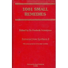 1001 Small Remedies 