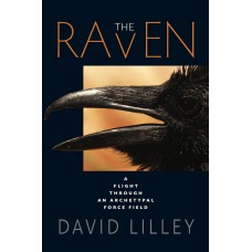The Raven - A Flight Through An Archetypal Force Field
