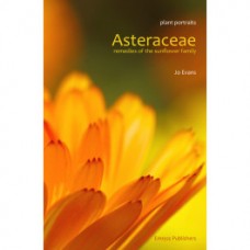 Asteraceae - Remedies of the Sunflower Family